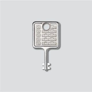 Siedle Schlüssel silber für VARIO 511 zum Öffnen des Montagerahmen 