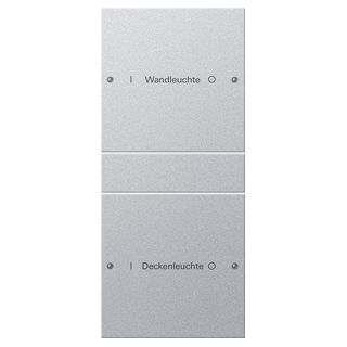 GIRA 220226 Wippenset 2f (1+1) beschr. System 55 Farbe Alu(lack.)