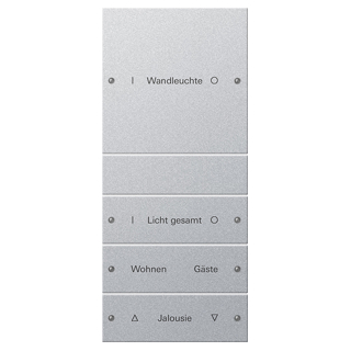 GIRA 220426 Wippenset 4f (1+3) beschr. System 55 Farbe Alu(lack.)