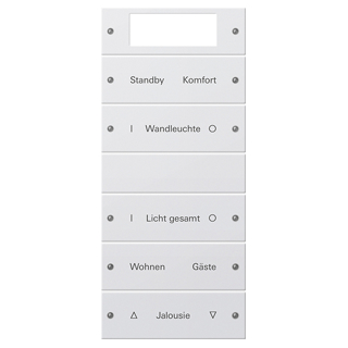 GIRA 221503 Wippenset 5f Plus (2+3) beschr. System 55 Reinweiß(lack.)