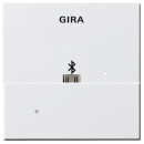 GIRA 228503 Aufsatz USB-Mikro-B Dockingstation System 55...