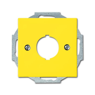 Busch-Jaeger 2533-914-15 Zentralscheibe mit Tragring