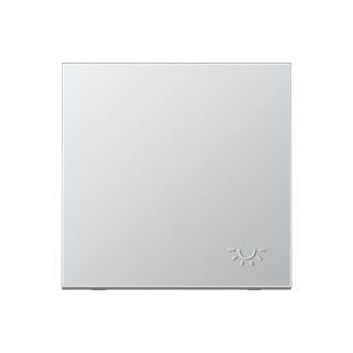 Jung AL2990LP Wippe m. Symbol "Licht" gepraegt - Aluminium