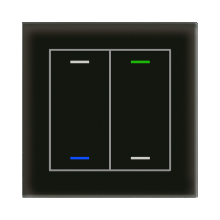 MDT BE-GTL2TS.01 KNX Glastaster II Light 2-fach, RGBW, Temperatursensor, Schwarz, Neutral