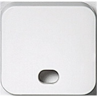 Merten 310874 Wippe mit ovalem Symbolfenster (ohne Symbol), weiß, System Basis