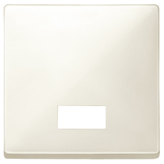 Merten 411894 Wippe mit rechteckigem Symbolfenster, weiß, System Fläche