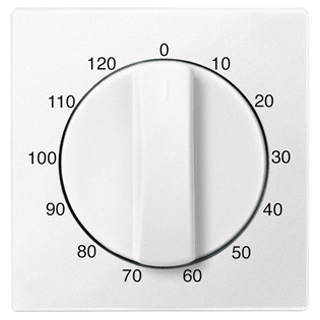 Merten 539219 Zentralplatte für Zeitschalter-Einsatz 120 min, polarweiß, System M