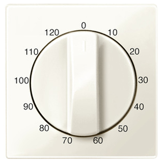 Merten 567544 Zentralplatte für Zeitschalter-Einsatz 120 min, weiß glänzend, System M