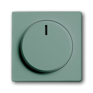 Busch-Jaeger 6540-89-102 Zentralscheibe f. Drehdimmer