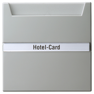 GIRA 014042 Hotel-Card-Taster Wechsler (bel.) Beschriftungsfeld S-Color Grau